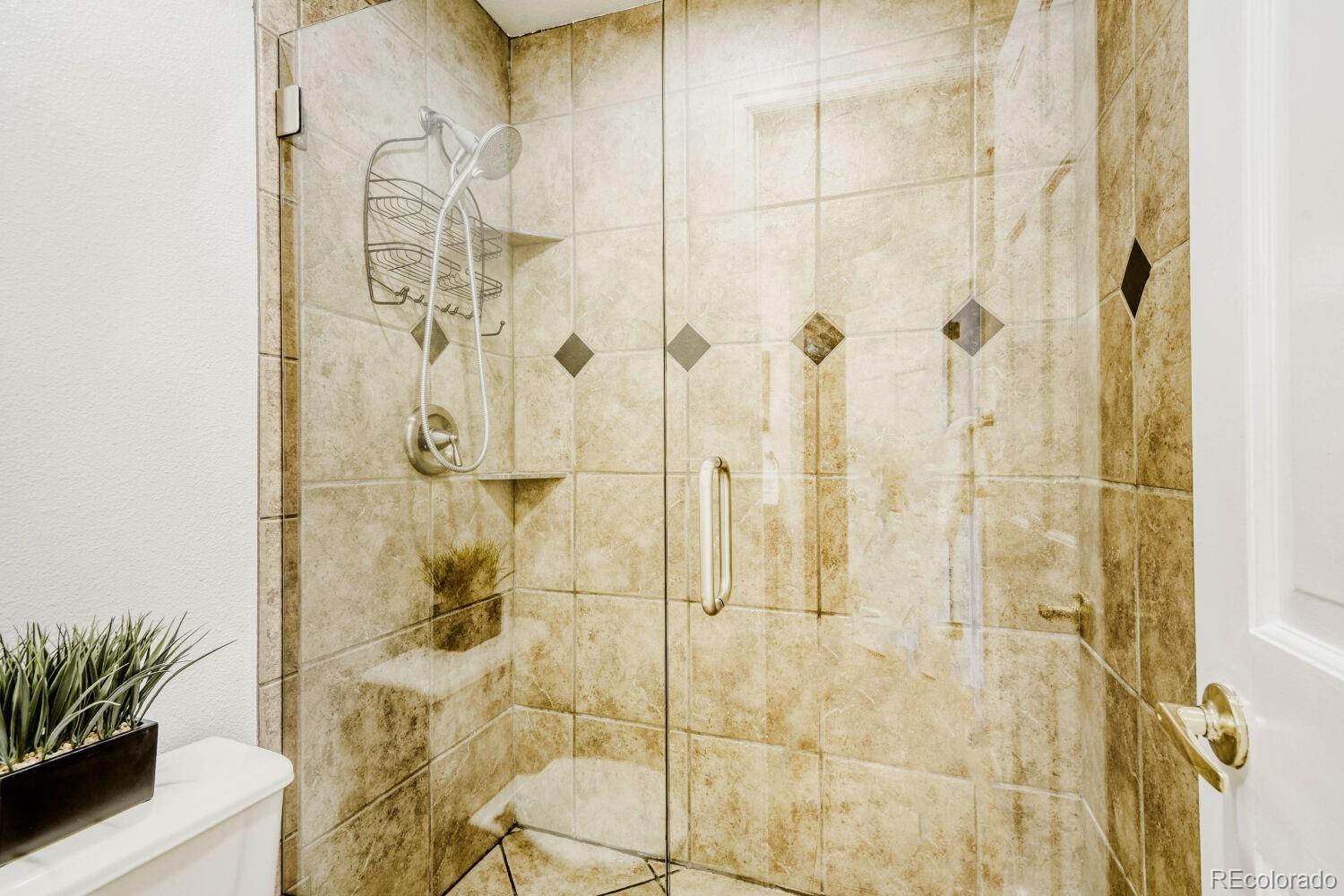 MLS Image #21 for 2003  chesapeake lane,highlands ranch, Colorado
