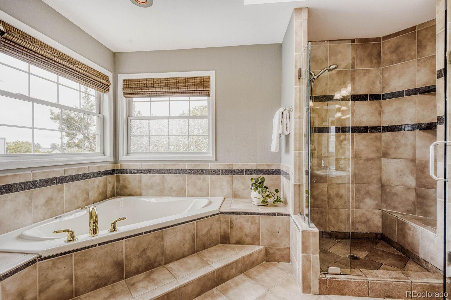 MLS Image #27 for 2003  chesapeake lane,highlands ranch, Colorado
