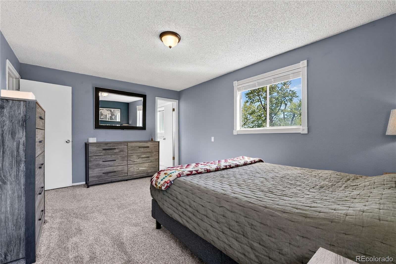 MLS Image #21 for 6233 s dover street,littleton, Colorado