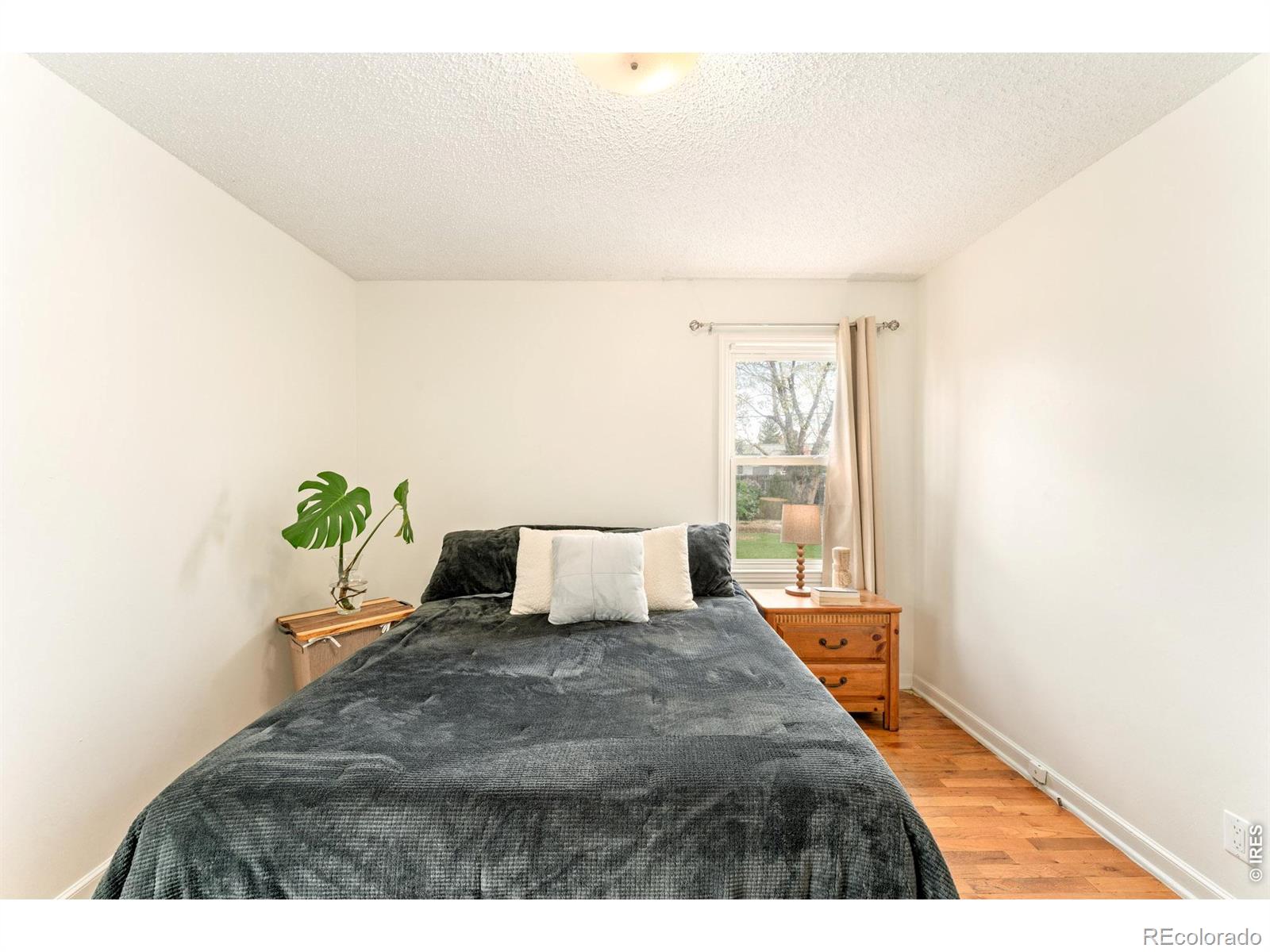 MLS Image #12 for 2312  cleveland avenue,loveland, Colorado