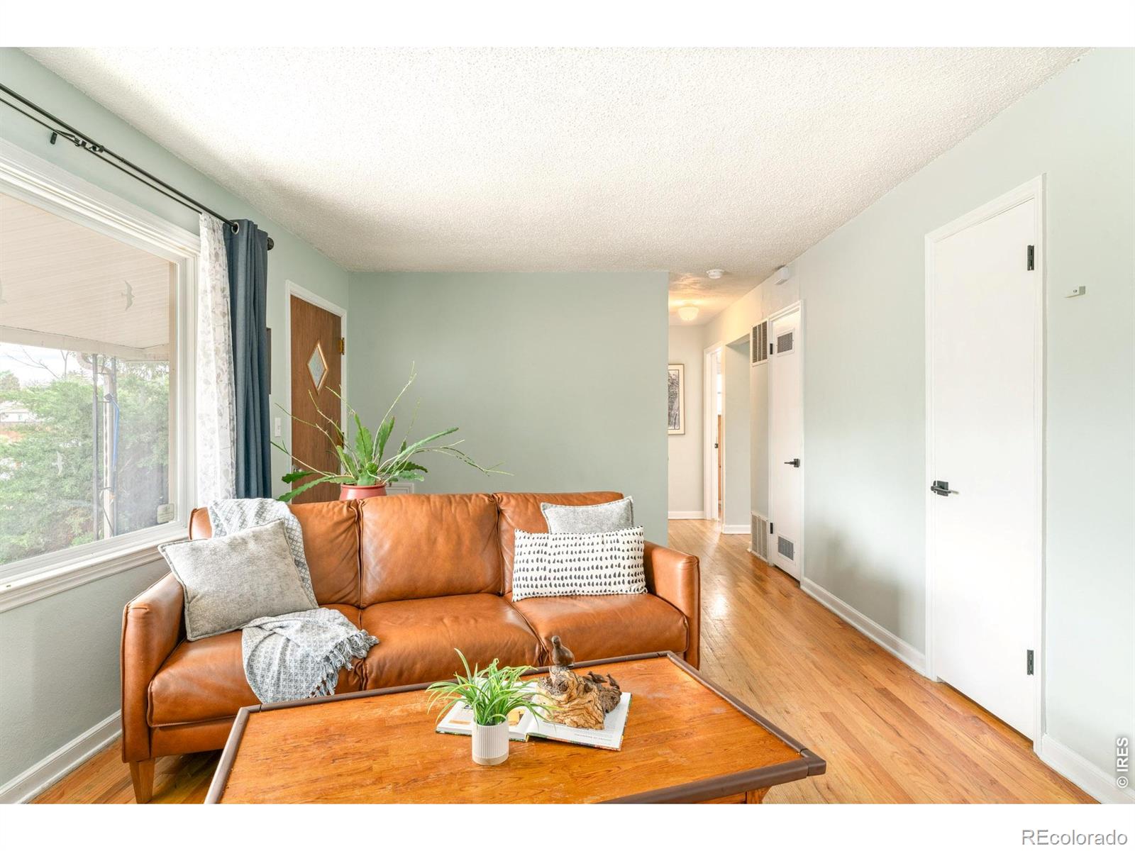 MLS Image #4 for 2312  cleveland avenue,loveland, Colorado