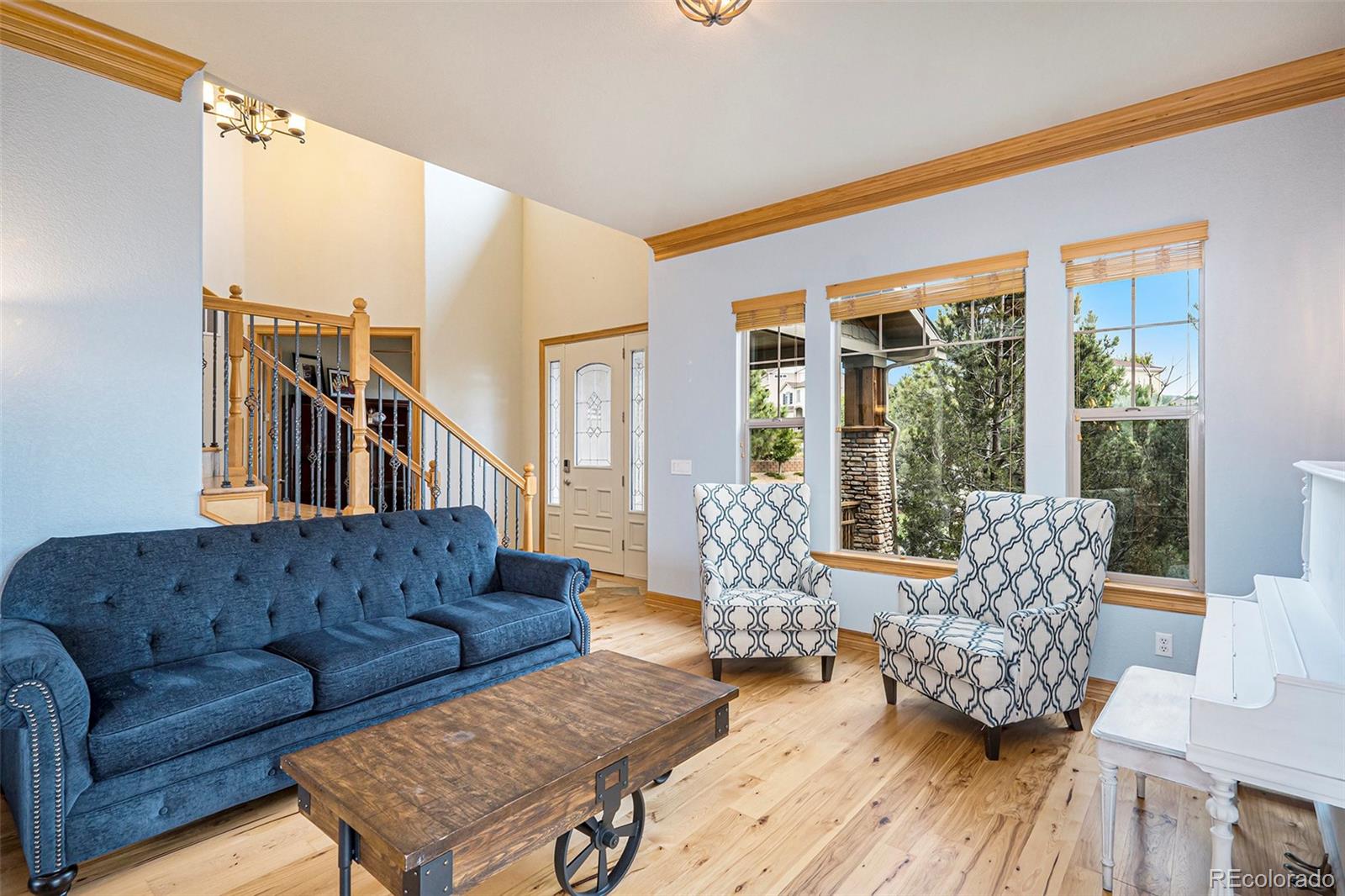 MLS Image #10 for 12161 s leaning pine court,parker, Colorado