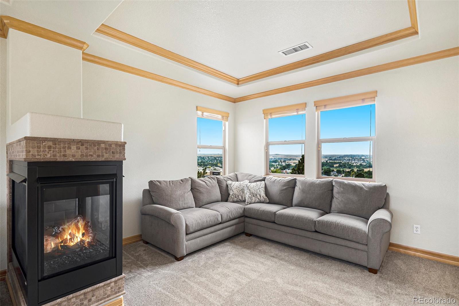 MLS Image #20 for 12161 s leaning pine court,parker, Colorado
