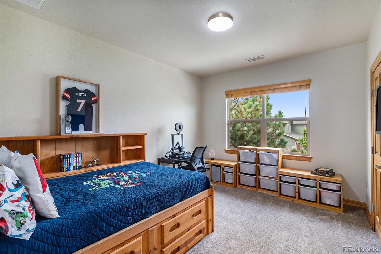 MLS Image #24 for 12161 s leaning pine court,parker, Colorado