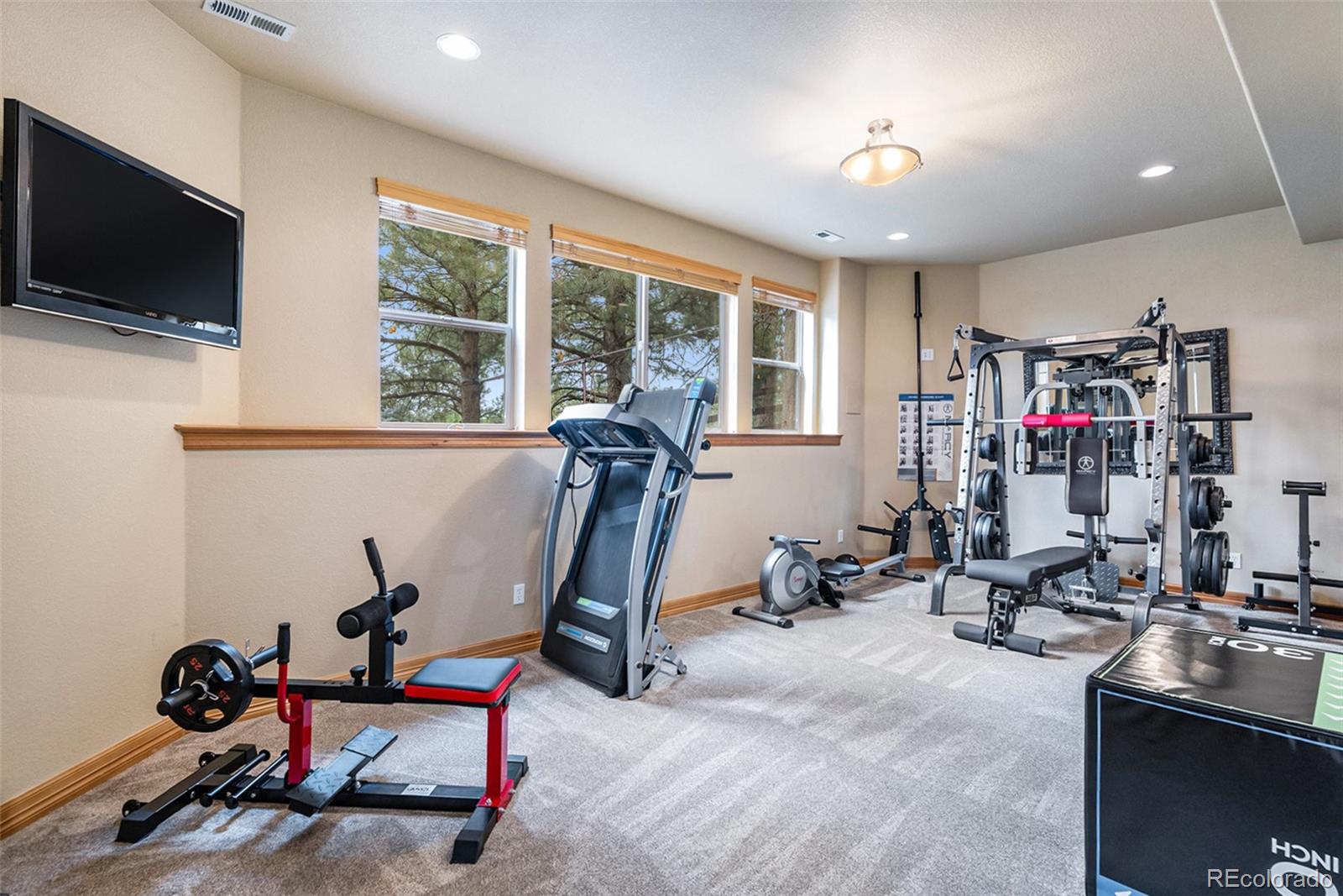MLS Image #37 for 12161 s leaning pine court,parker, Colorado