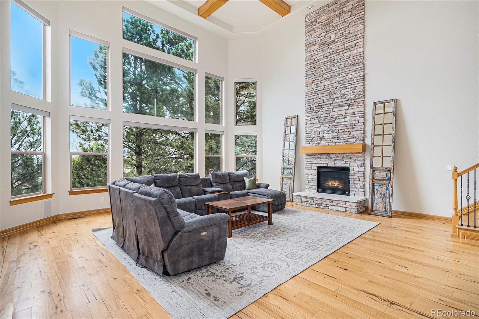 MLS Image #9 for 12161 s leaning pine court,parker, Colorado