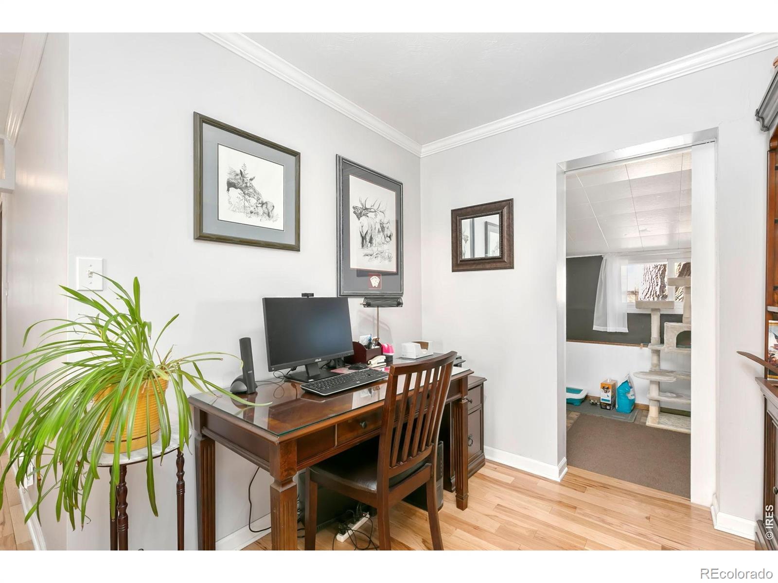 MLS Image #13 for 103 w main avenue,pierce, Colorado