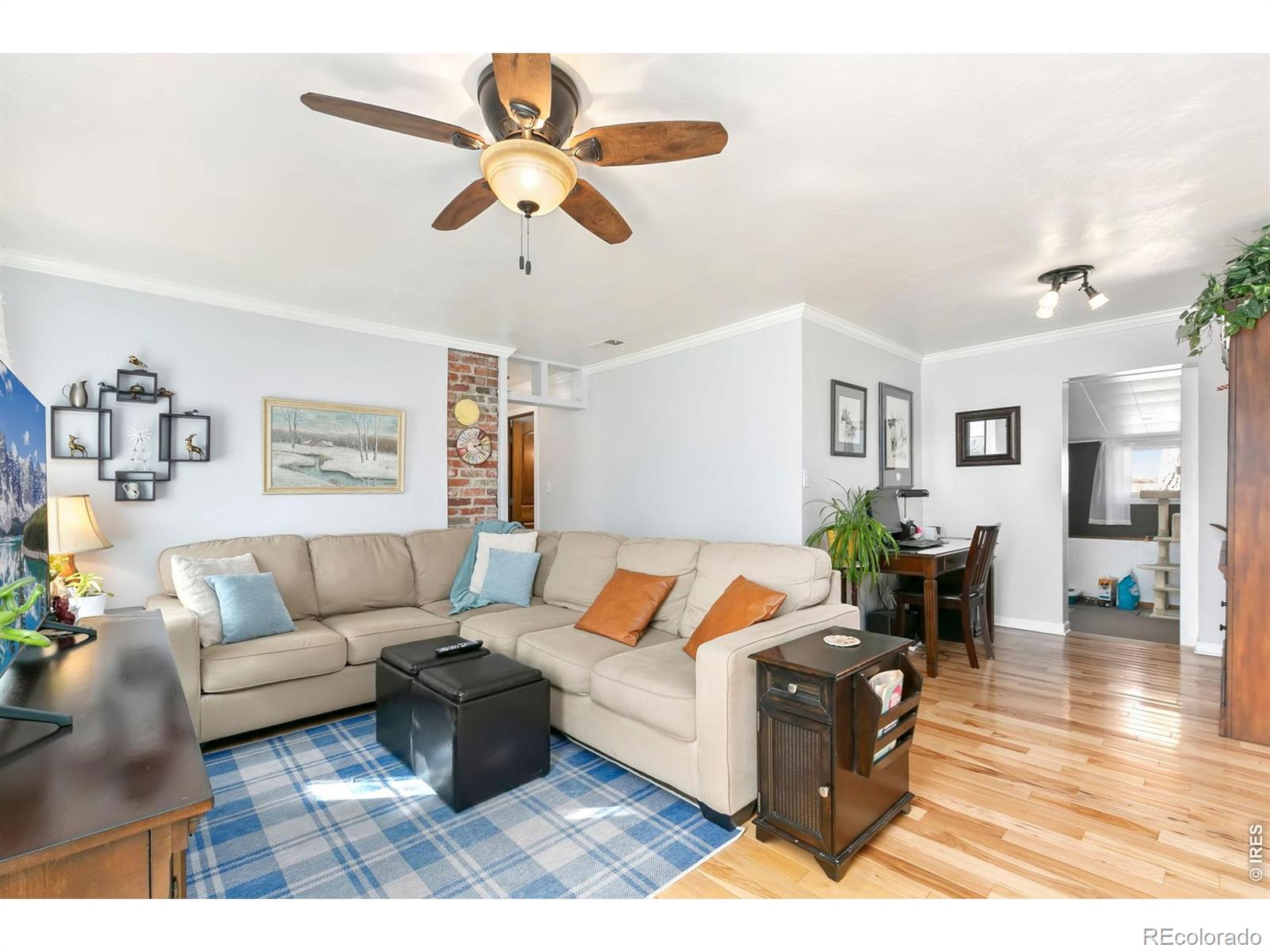 MLS Image #6 for 103 w main avenue,pierce, Colorado