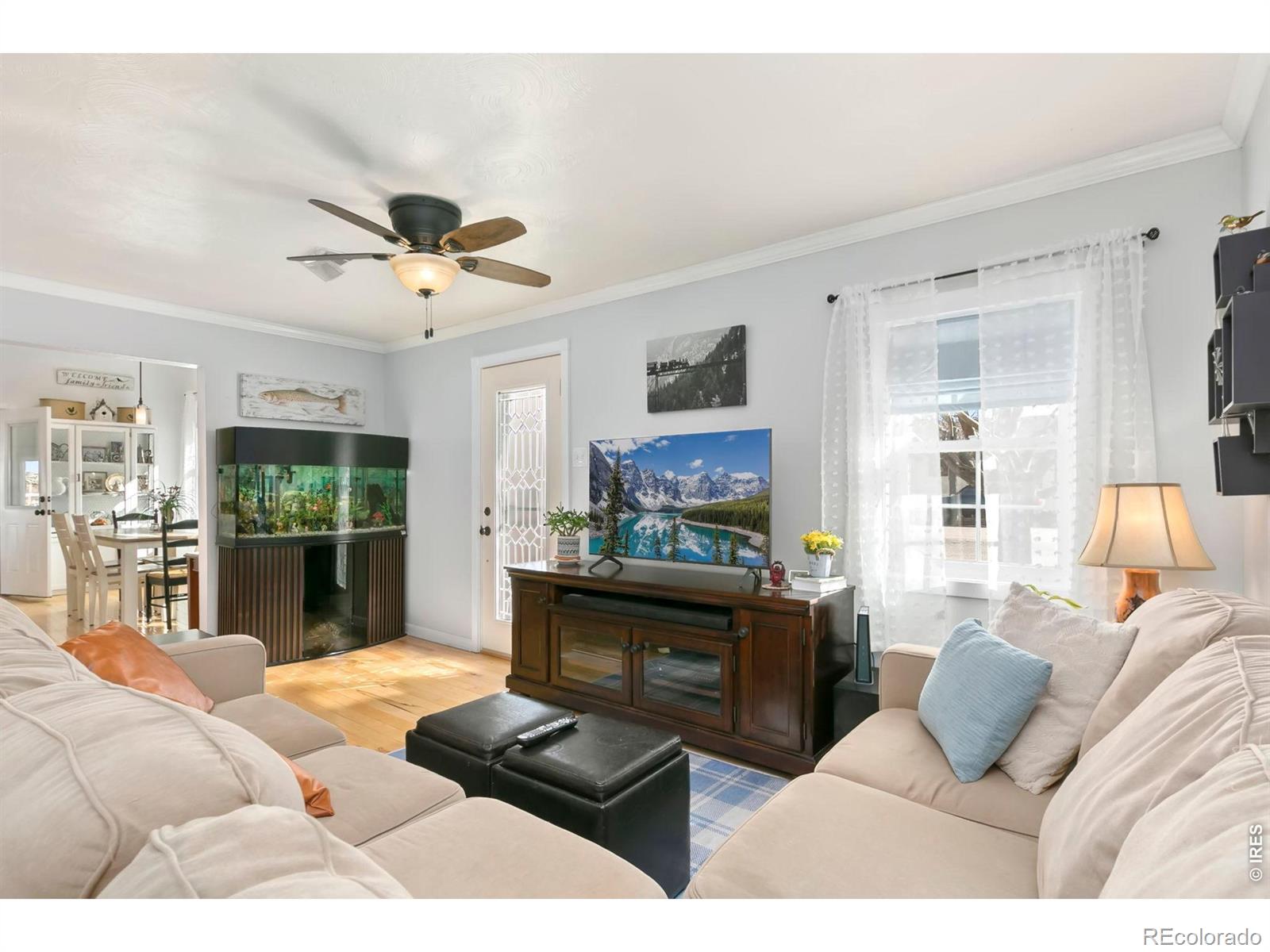 MLS Image #7 for 103 w main avenue,pierce, Colorado