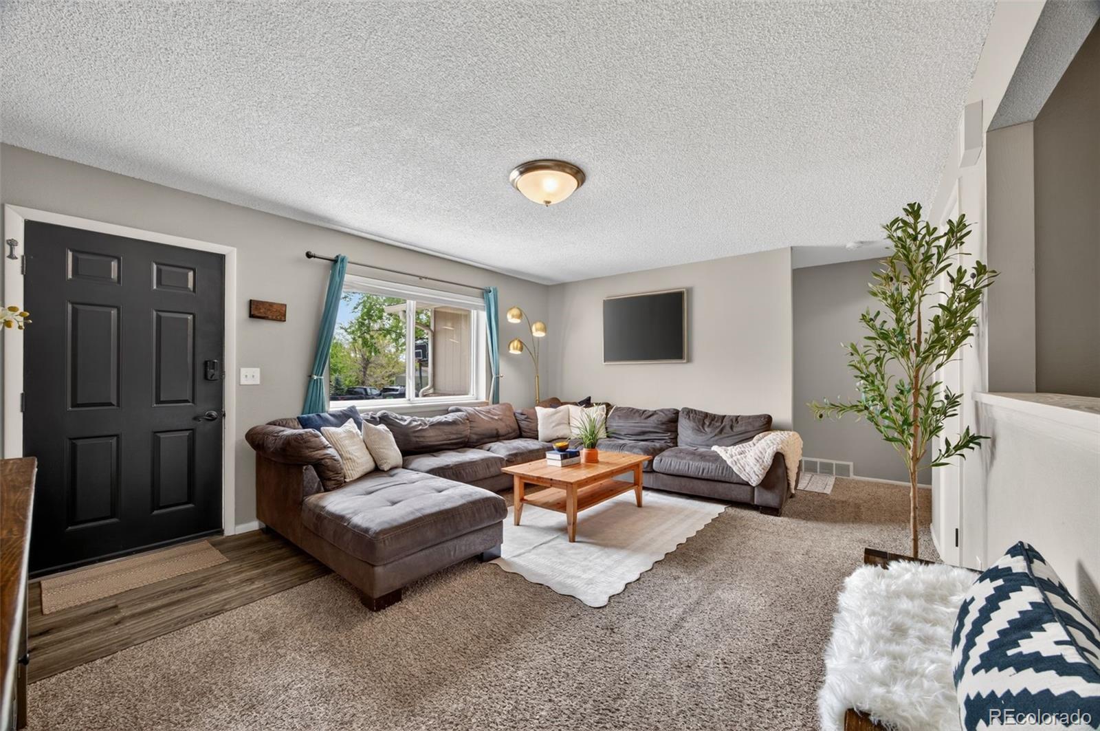 MLS Image #4 for 8741  field place,arvada, Colorado