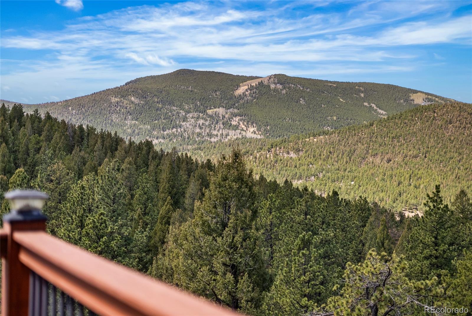 MLS Image #36 for 461  hitchrack road,bailey, Colorado