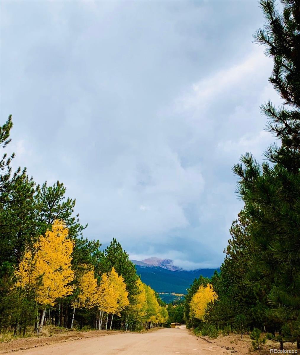 MLS Image #49 for 461  hitchrack road,bailey, Colorado