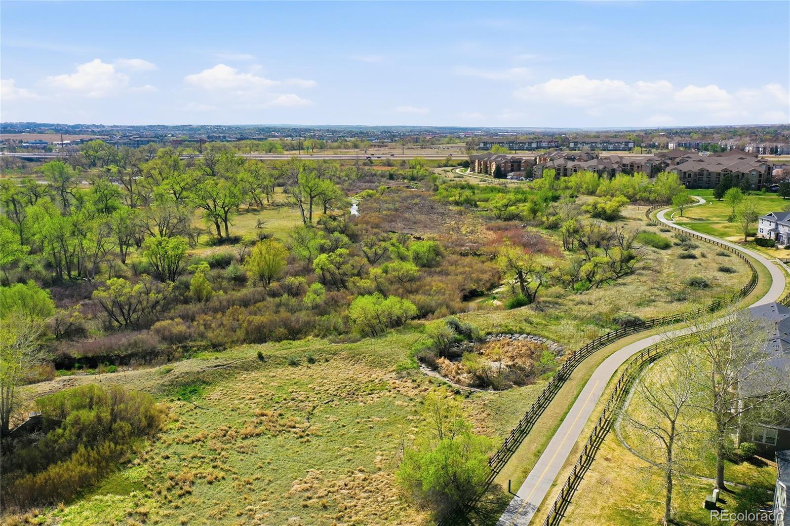 MLS Image #29 for 17254  lark water lane,parker, Colorado