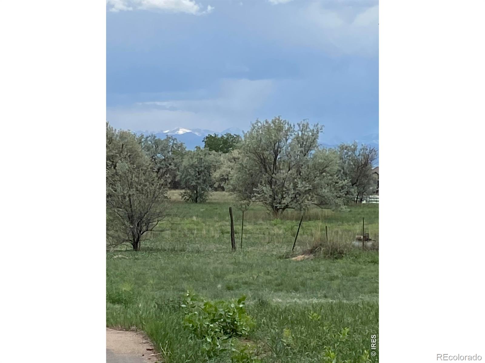 MLS Image #4 for 9735  county road 7 ,longmont, Colorado
