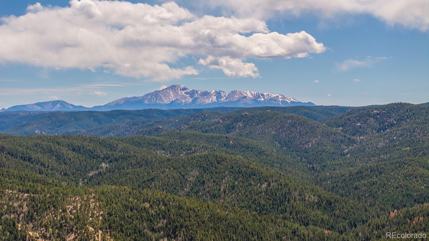 MLS Image #16 for 13939  forest lane,larkspur, Colorado