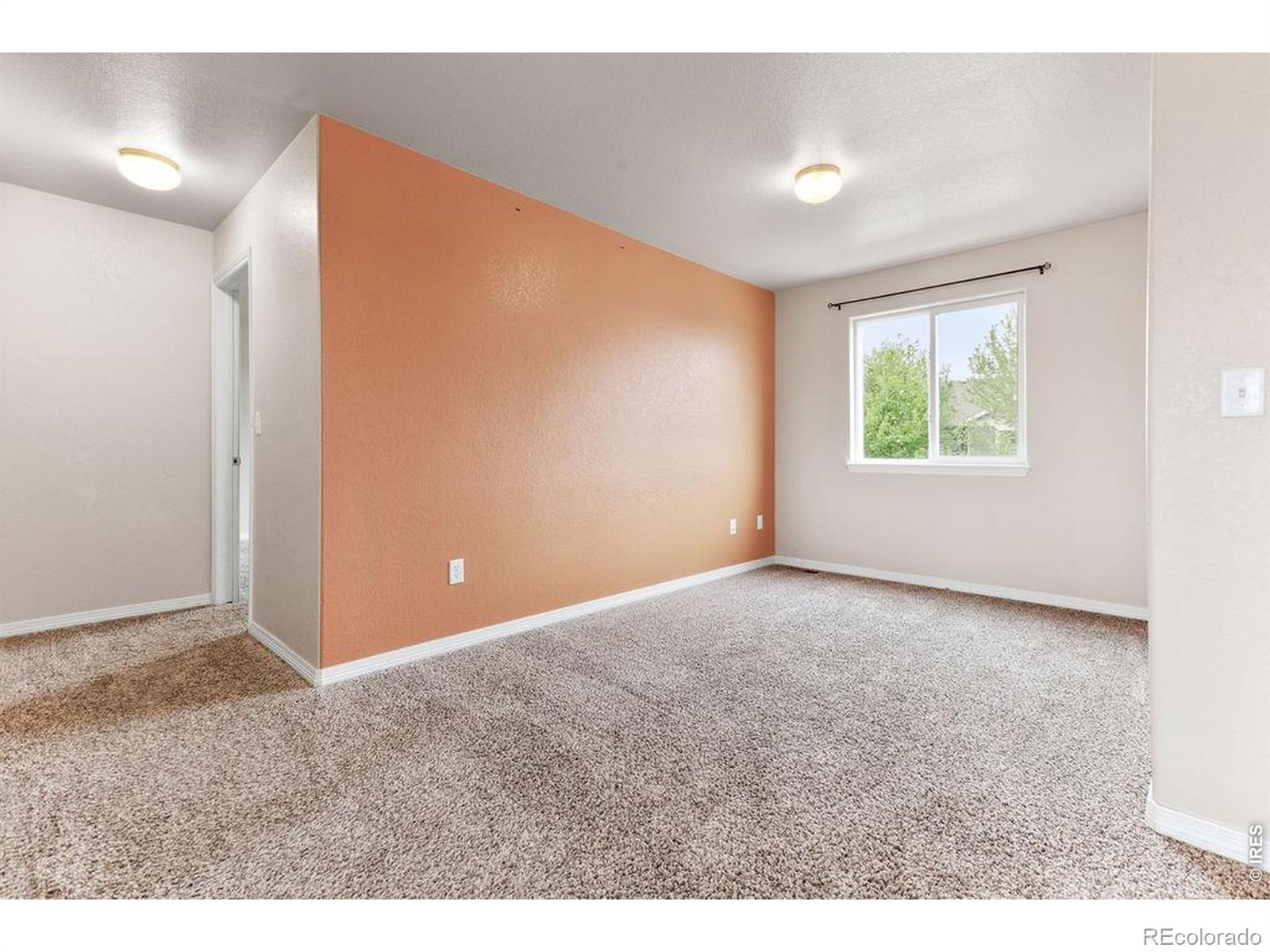 MLS Image #8 for 896  antila avenue,loveland, Colorado