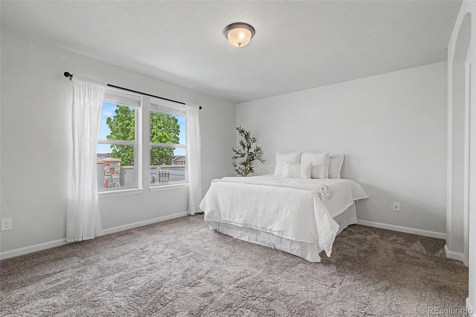 MLS Image #16 for 4467  hessite loop,colorado springs, Colorado