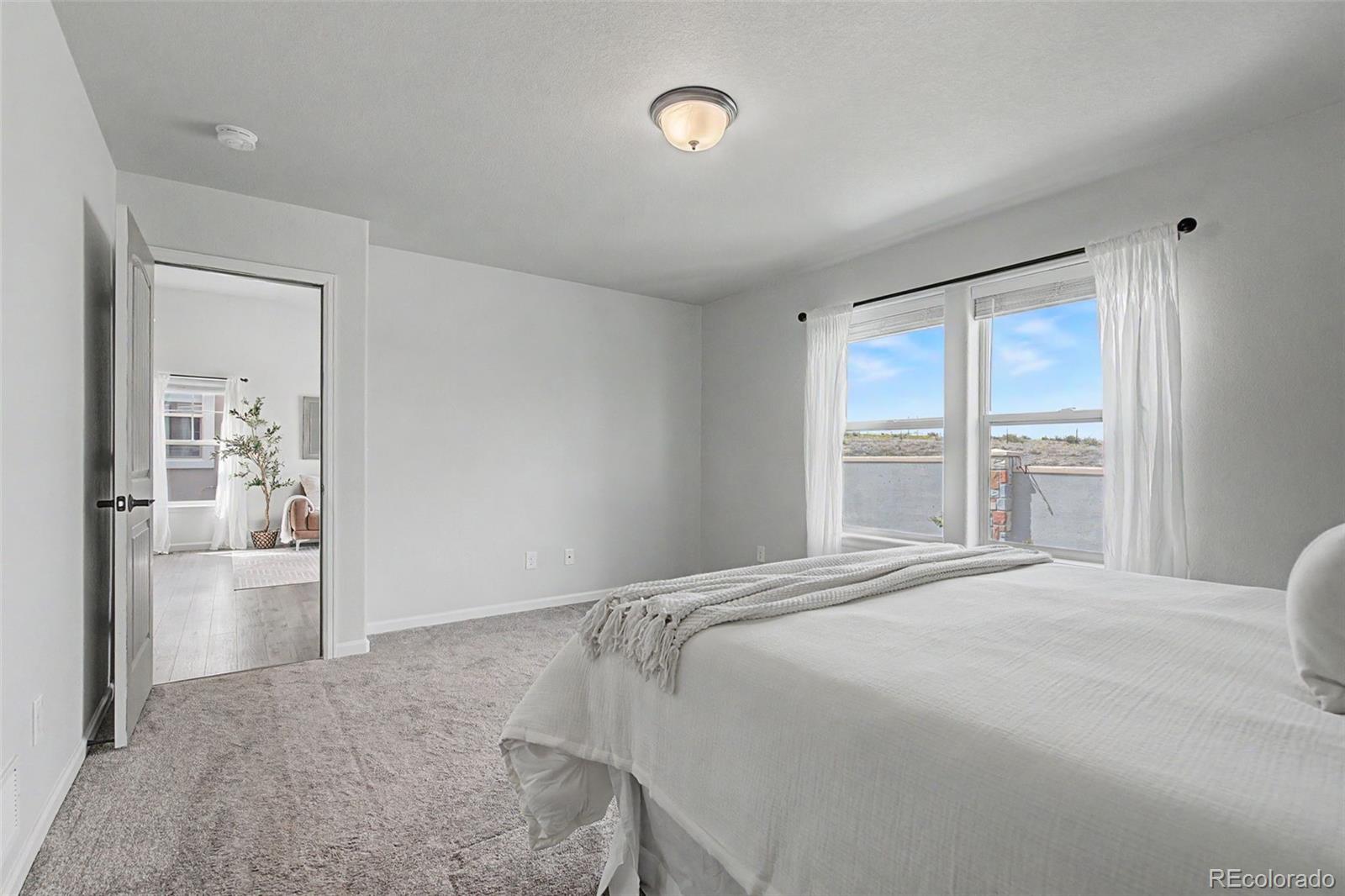 MLS Image #18 for 4467  hessite loop,colorado springs, Colorado