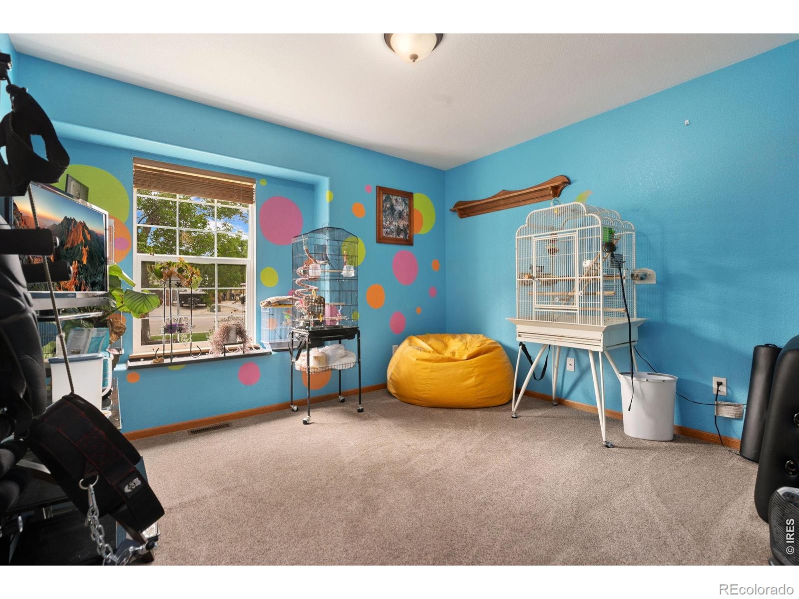 MLS Image #14 for 953 n greeley avenue,johnstown, Colorado