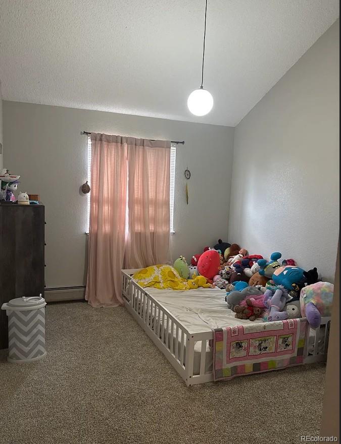 MLS Image #16 for 6927 s bryant street,littleton, Colorado