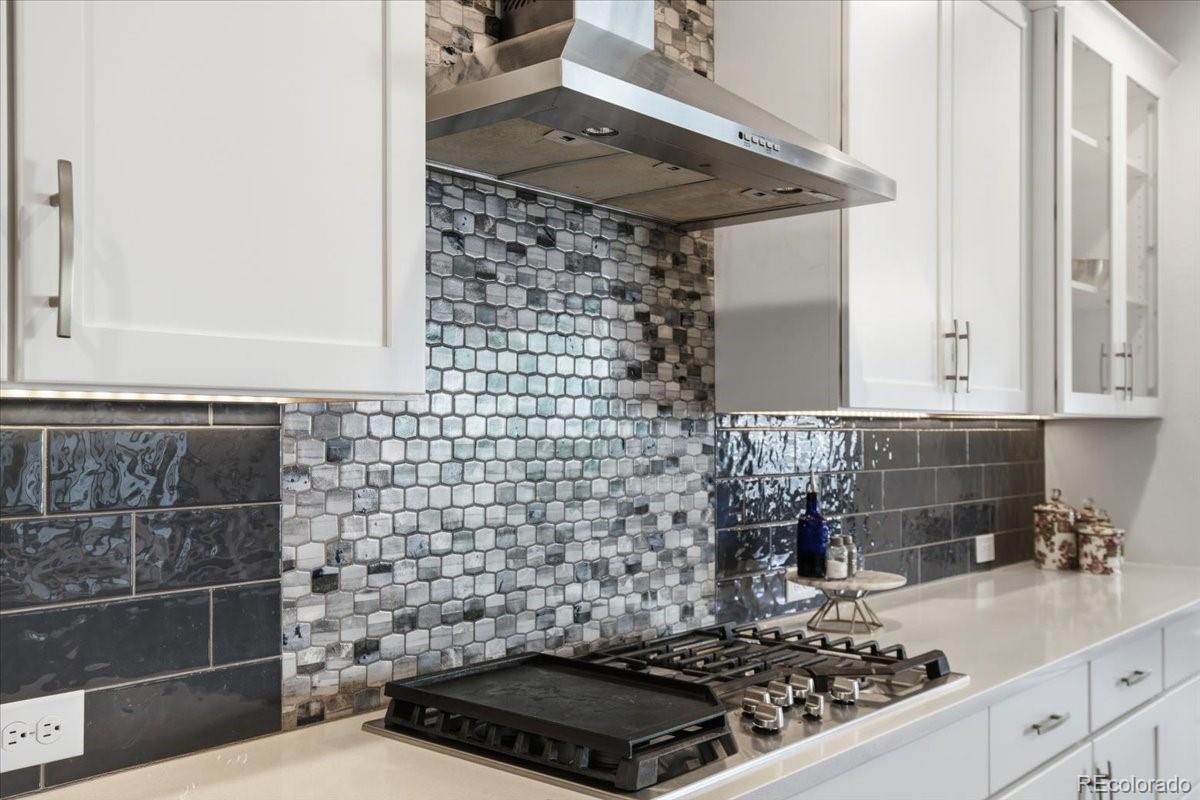 MLS Image #13 for 9252  star streak circle,littleton, Colorado