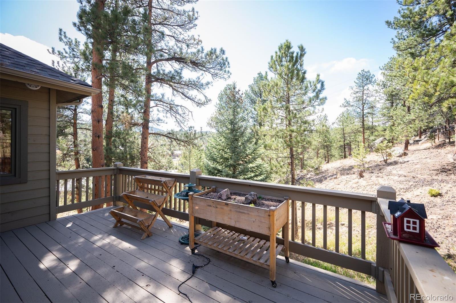 MLS Image #29 for 5017  camel heights road,evergreen, Colorado