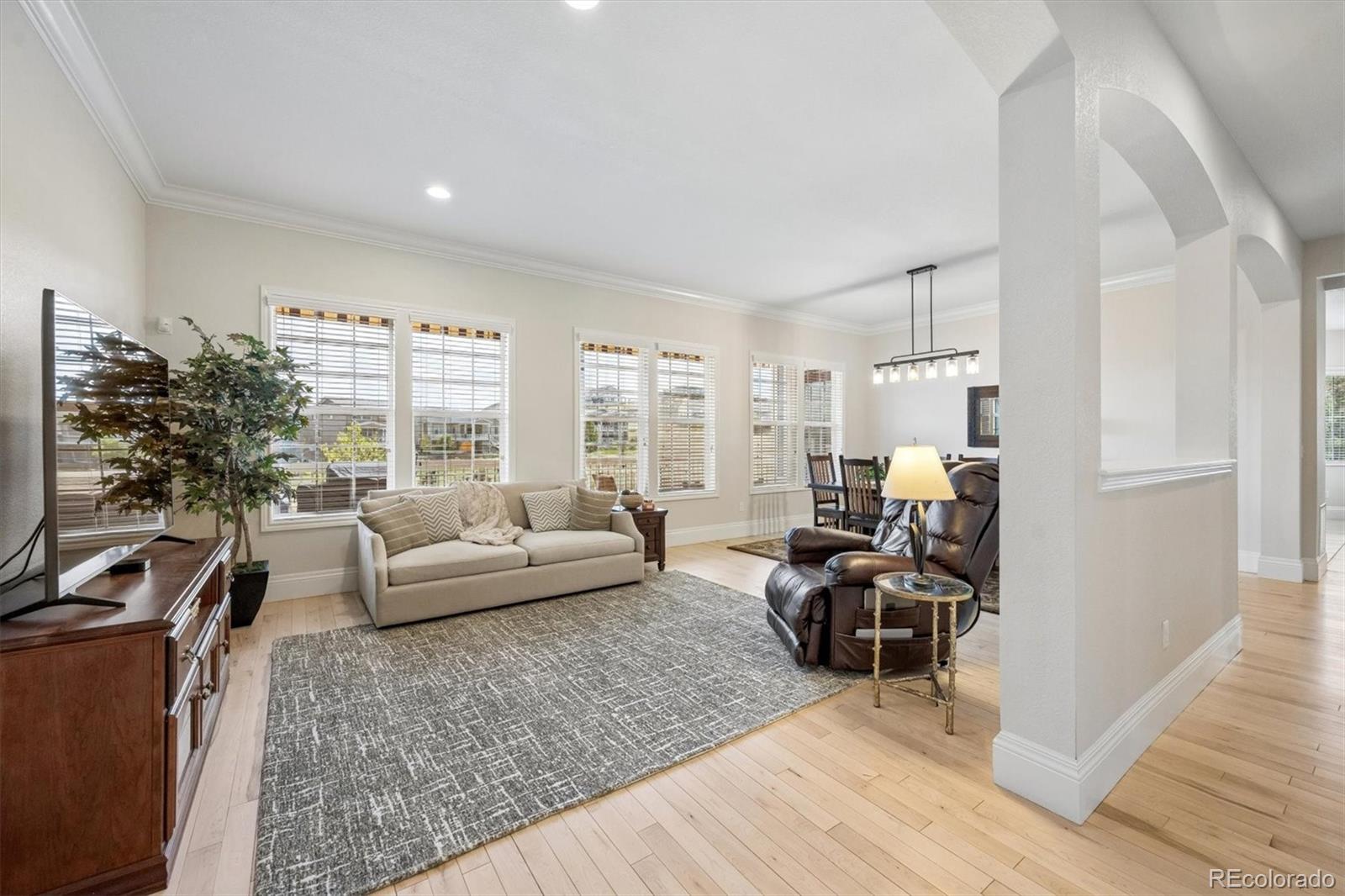 MLS Image #7 for 17022 w 94th place,arvada, Colorado