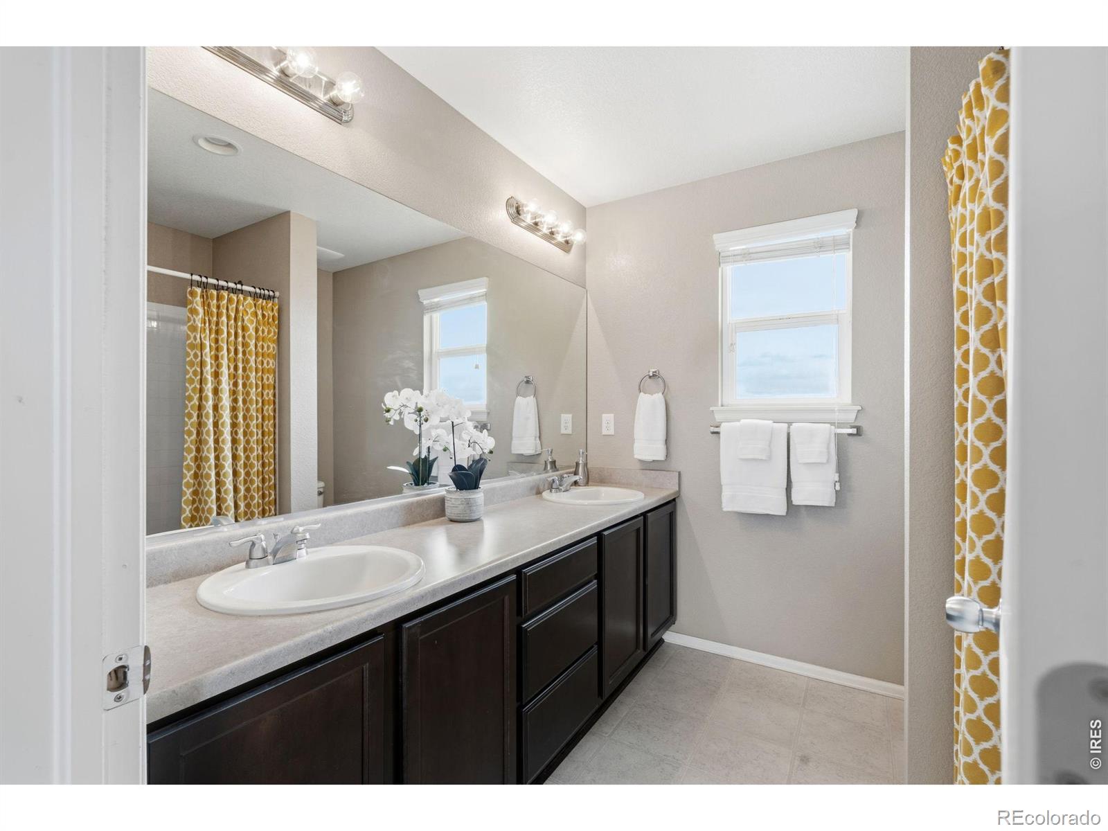 MLS Image #17 for 3481  yule trail drive,fort collins, Colorado