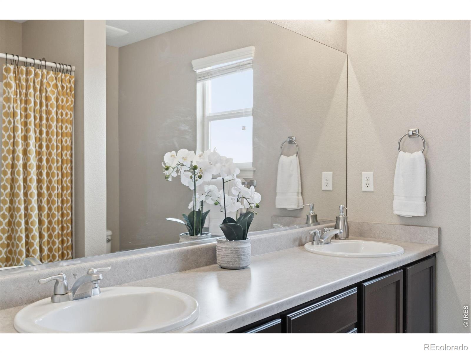 MLS Image #18 for 3481  yule trail drive,fort collins, Colorado