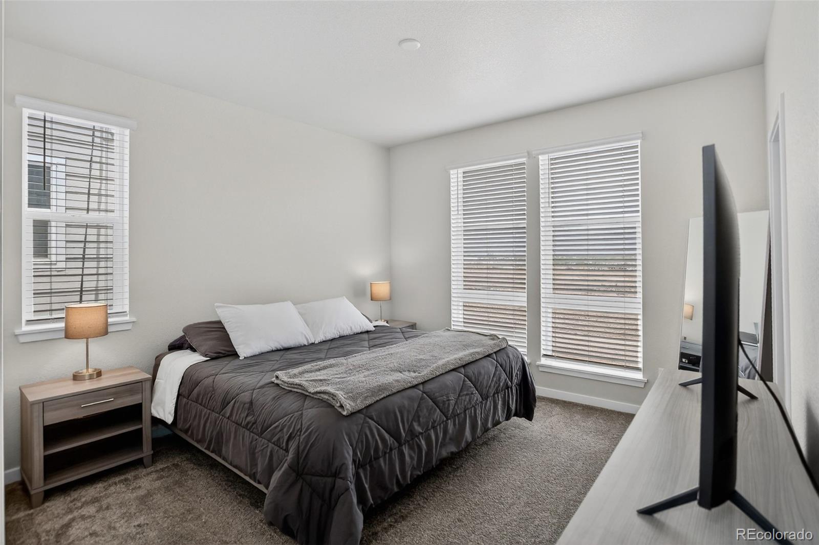 MLS Image #16 for 12361  farmview lane,thornton, Colorado