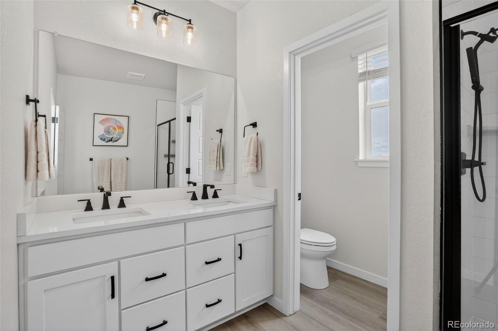 MLS Image #20 for 12361  farmview lane,thornton, Colorado