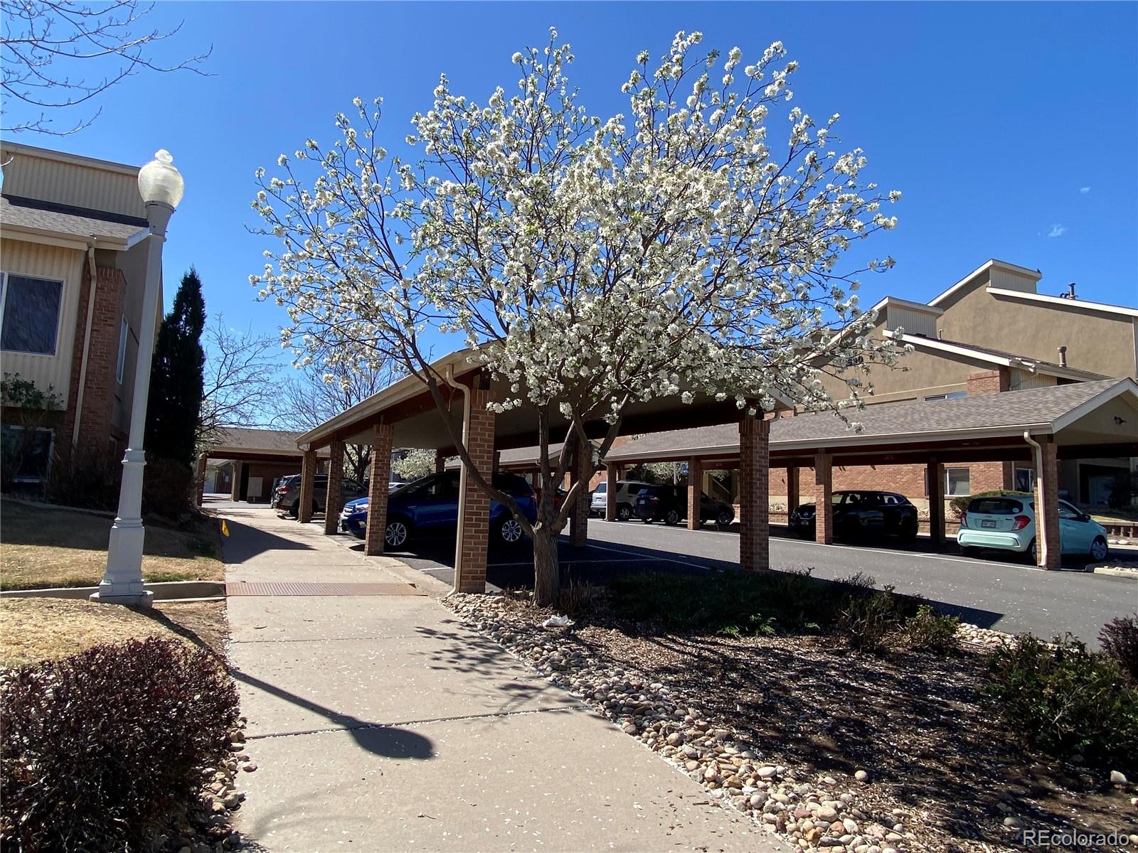 MLS Image #3 for 8685  clay street,westminster, Colorado