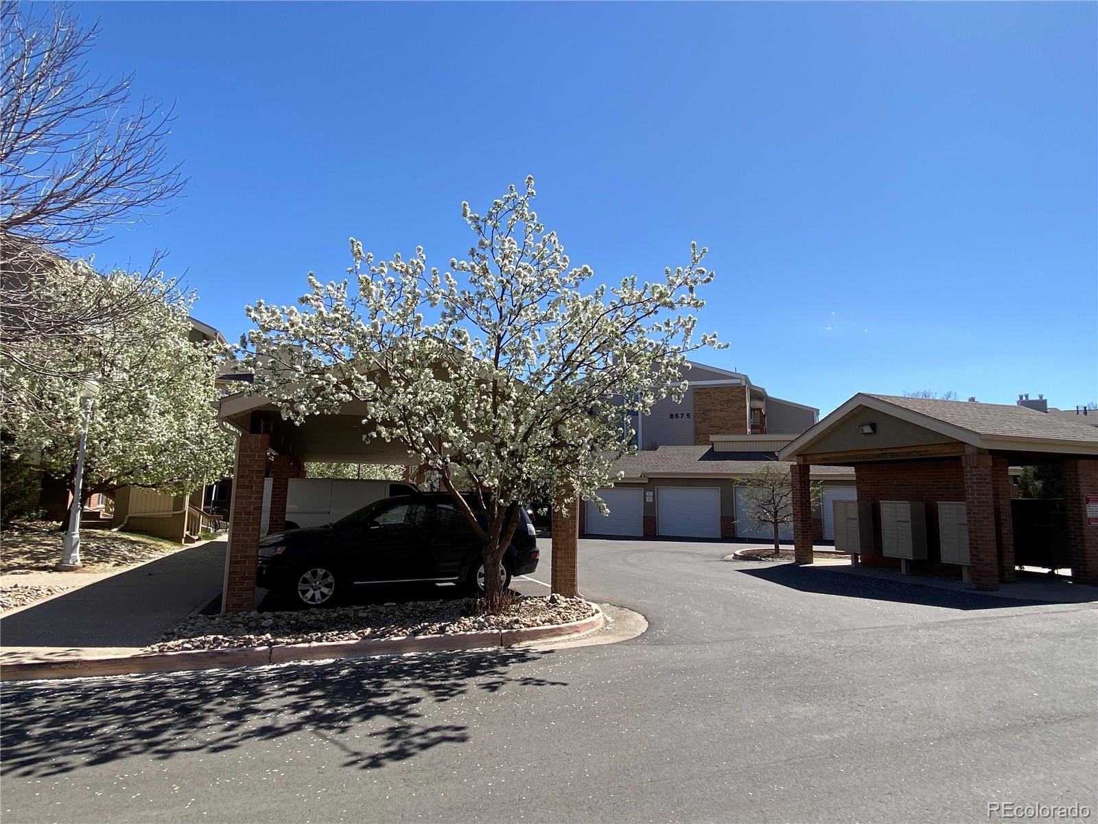 MLS Image #6 for 8685  clay street,westminster, Colorado