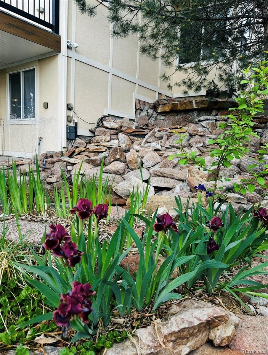 MLS Image #20 for 2989 e 135th place,thornton, Colorado