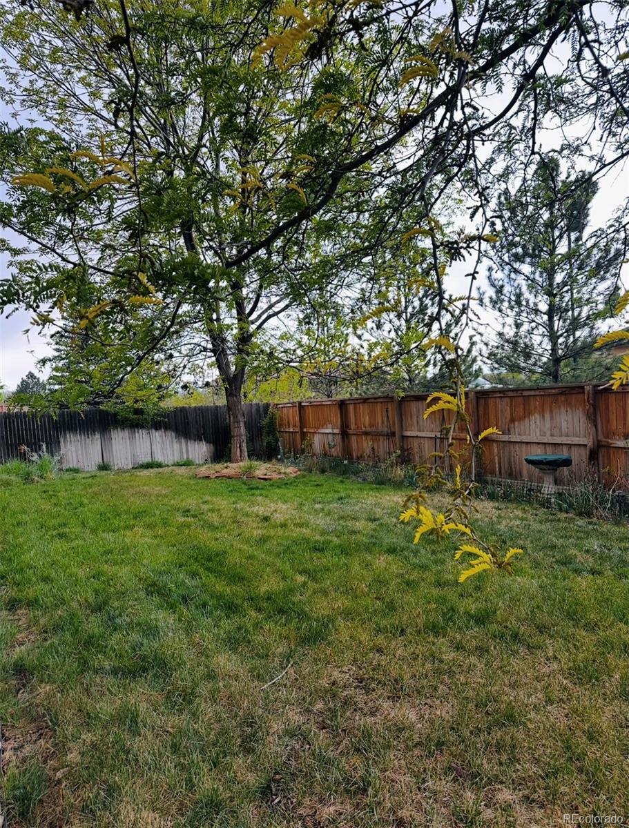 MLS Image #22 for 2989 e 135th place,thornton, Colorado