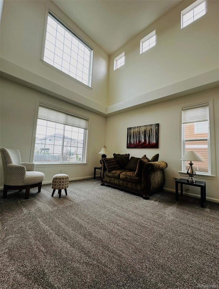 MLS Image #5 for 2989 e 135th place,thornton, Colorado