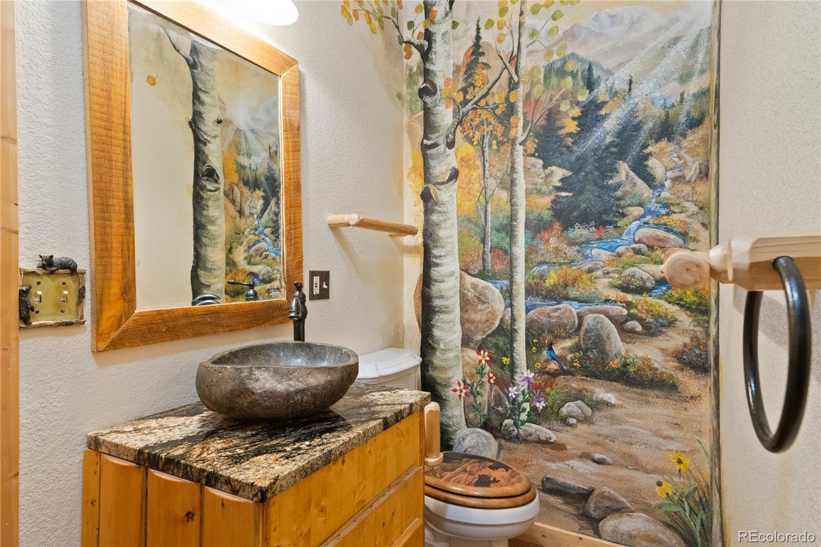 MLS Image #10 for 311  panther court,woodland park, Colorado
