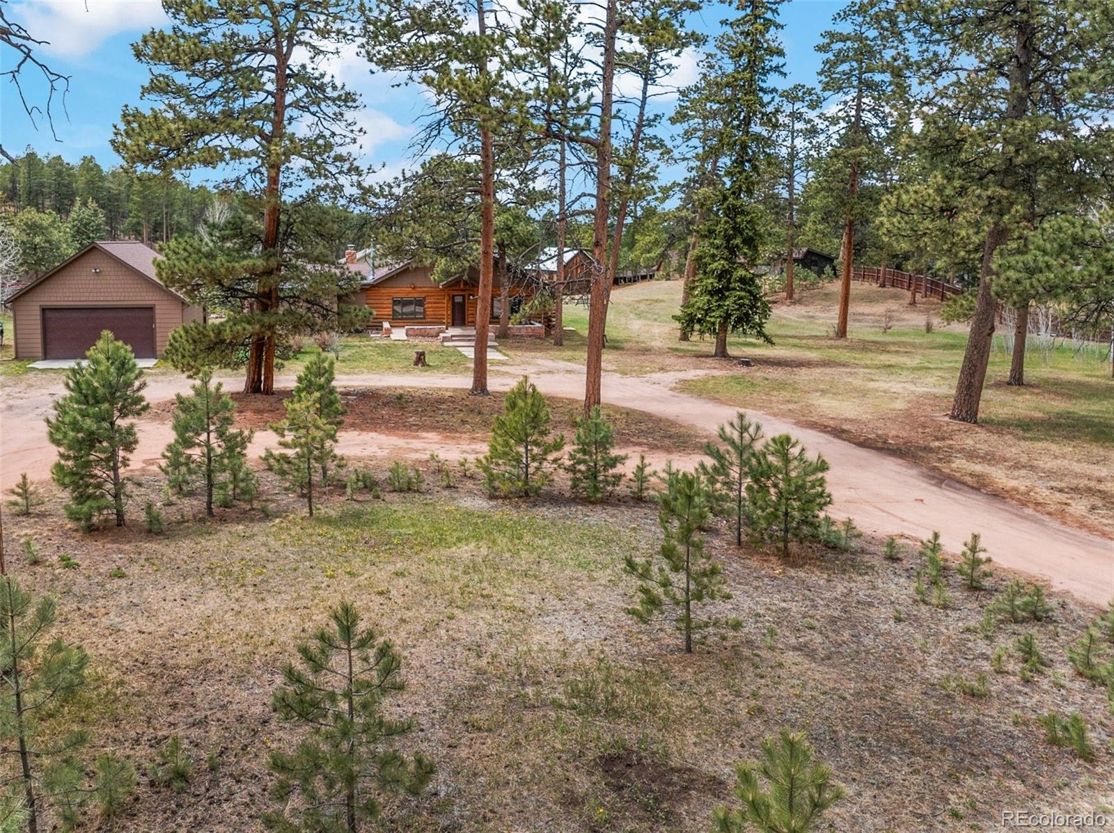 MLS Image #4 for 1100  rampart range road,woodland park, Colorado