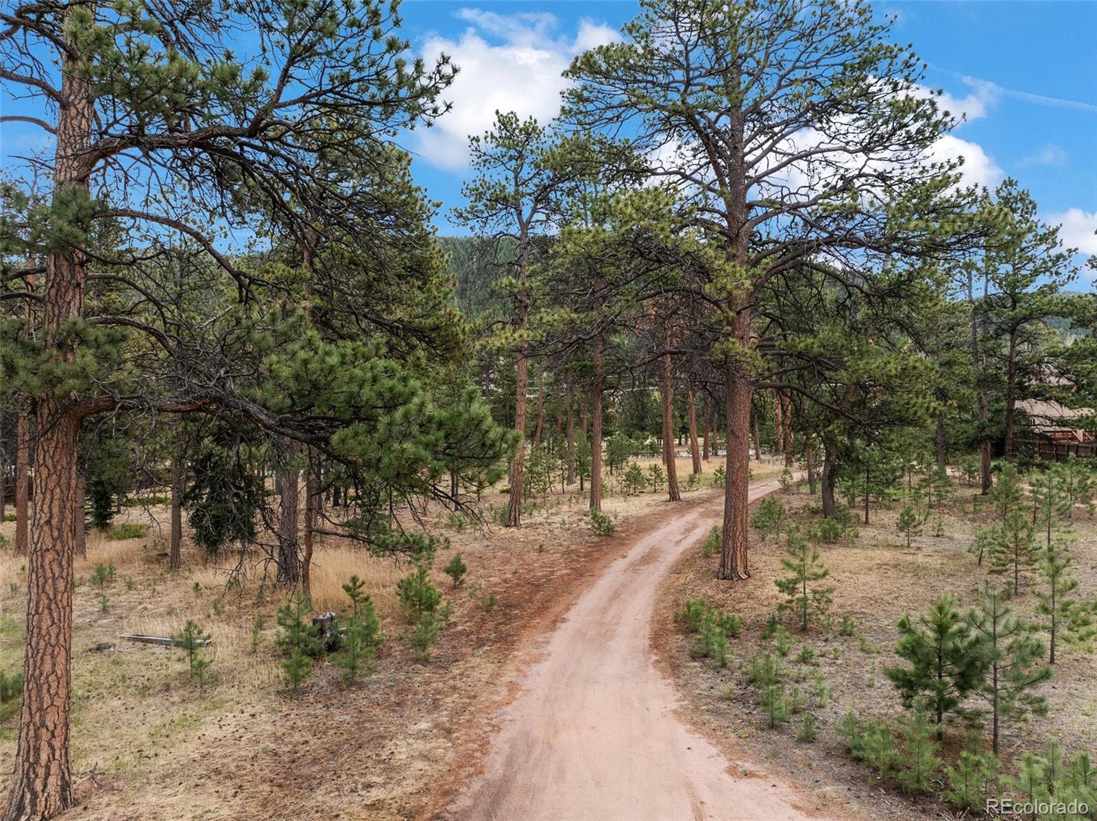 MLS Image #46 for 1100  rampart range road,woodland park, Colorado