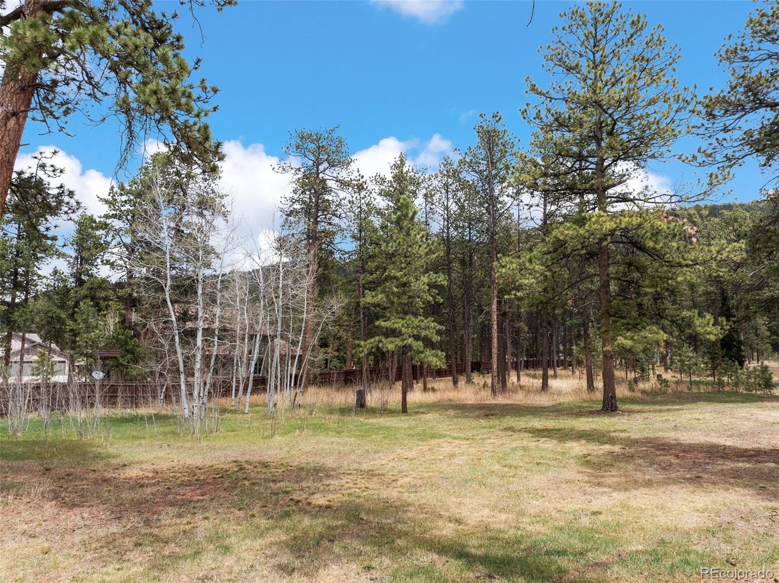 MLS Image #48 for 1100  rampart range road,woodland park, Colorado