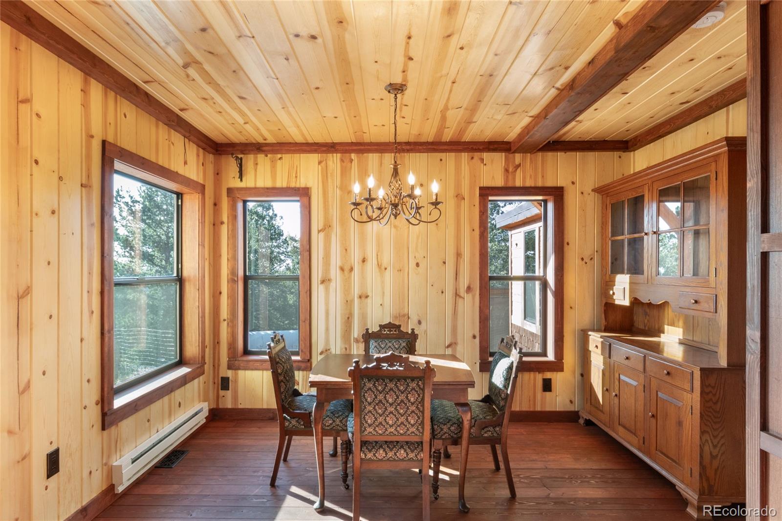 MLS Image #13 for 714  woodrock way,divide, Colorado