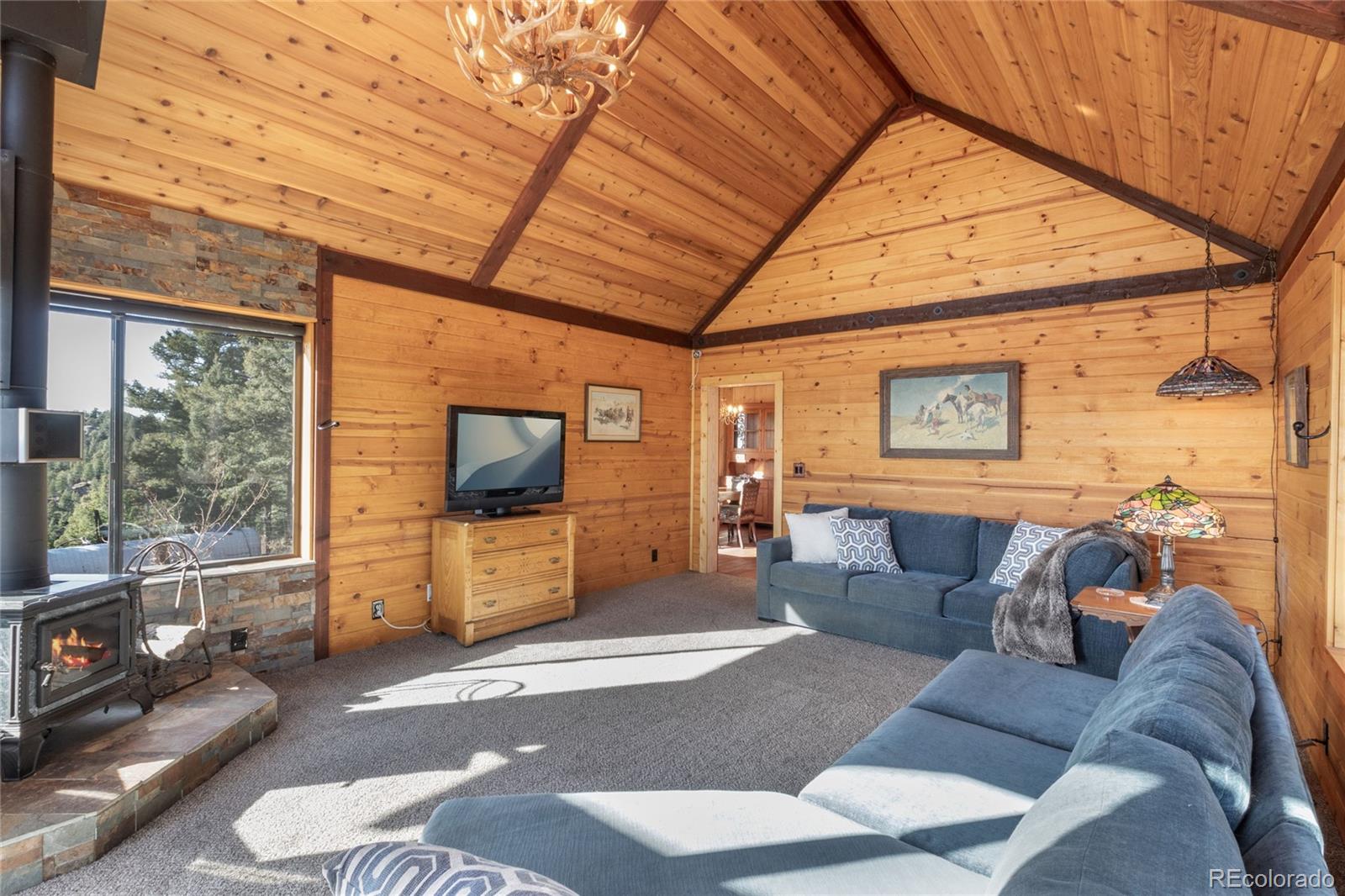 MLS Image #18 for 714  woodrock way,divide, Colorado