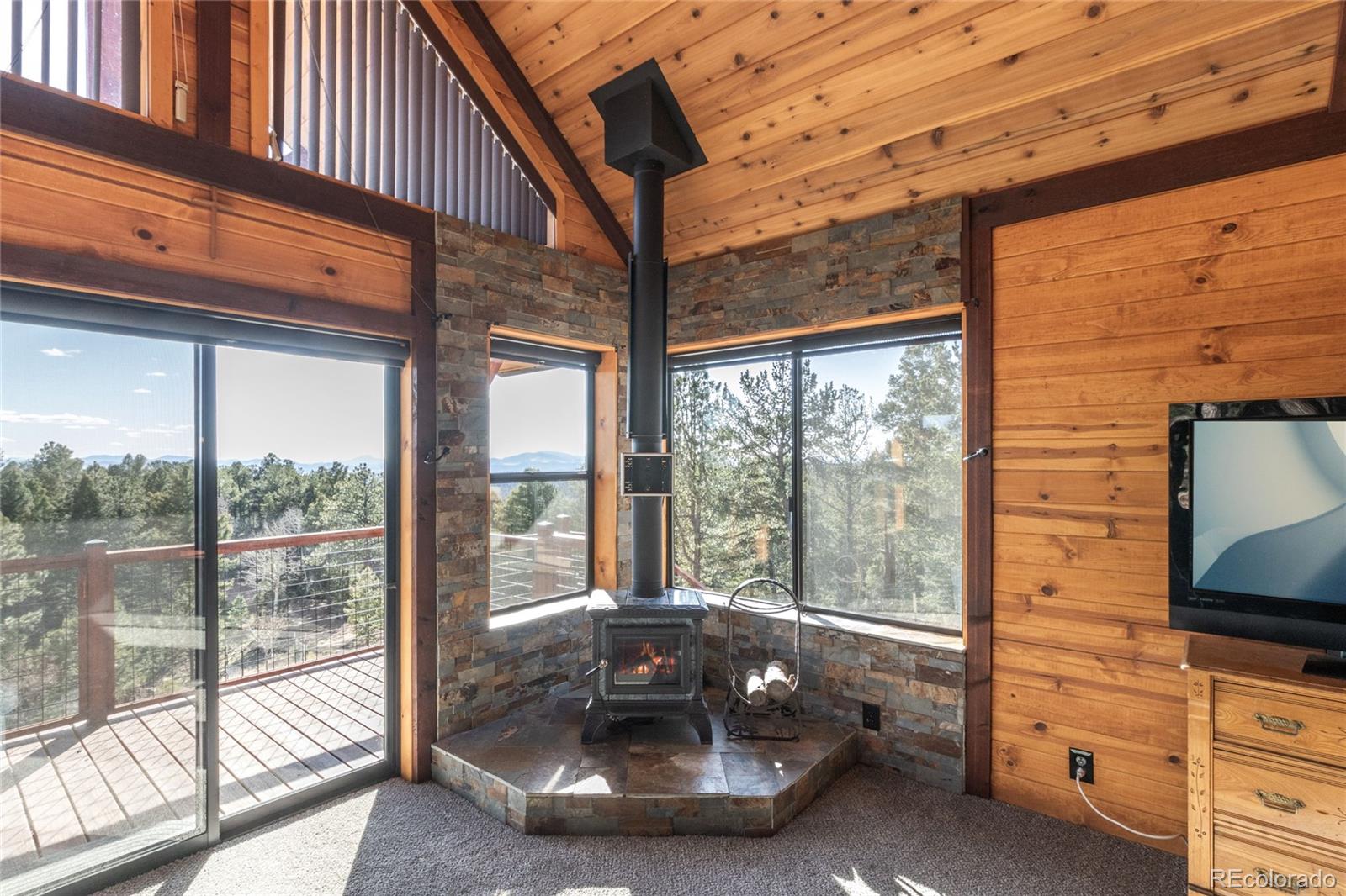 MLS Image #19 for 714  woodrock way,divide, Colorado