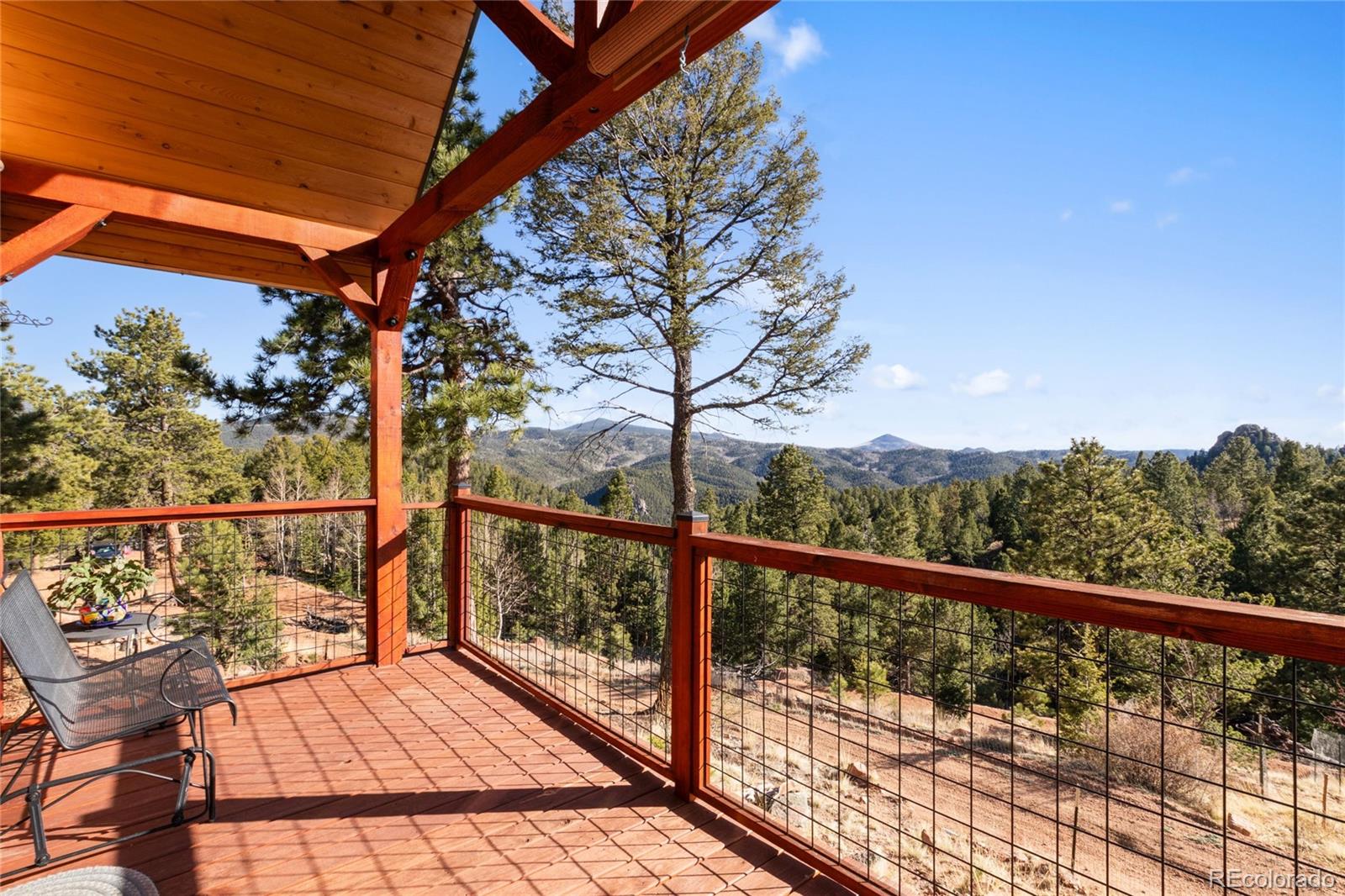MLS Image #20 for 714  woodrock way,divide, Colorado