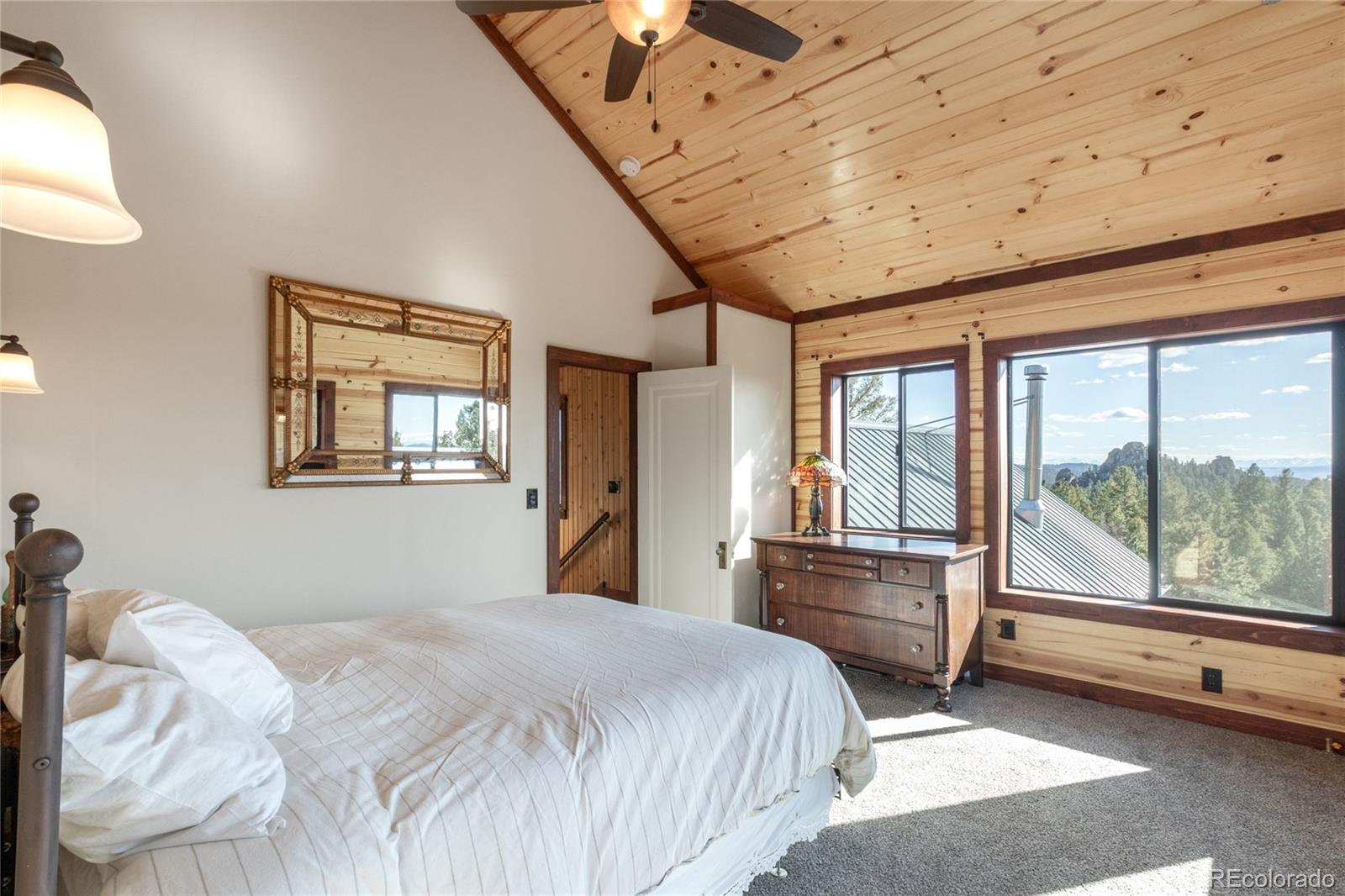 MLS Image #23 for 714  woodrock way,divide, Colorado
