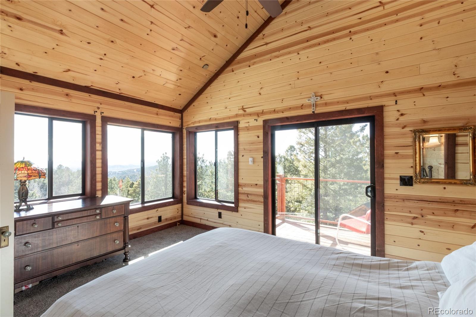 MLS Image #24 for 714  woodrock way,divide, Colorado