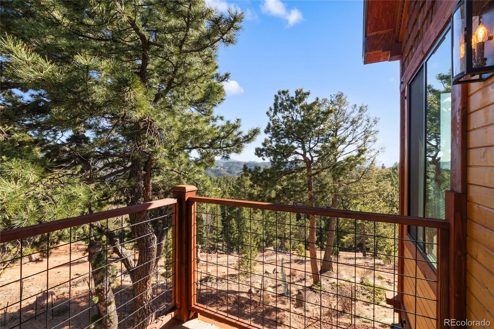 MLS Image #32 for 714  woodrock way,divide, Colorado