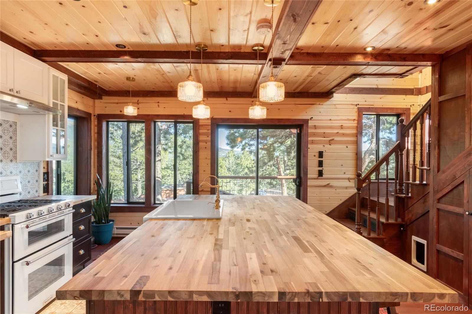 MLS Image #9 for 714  woodrock way,divide, Colorado