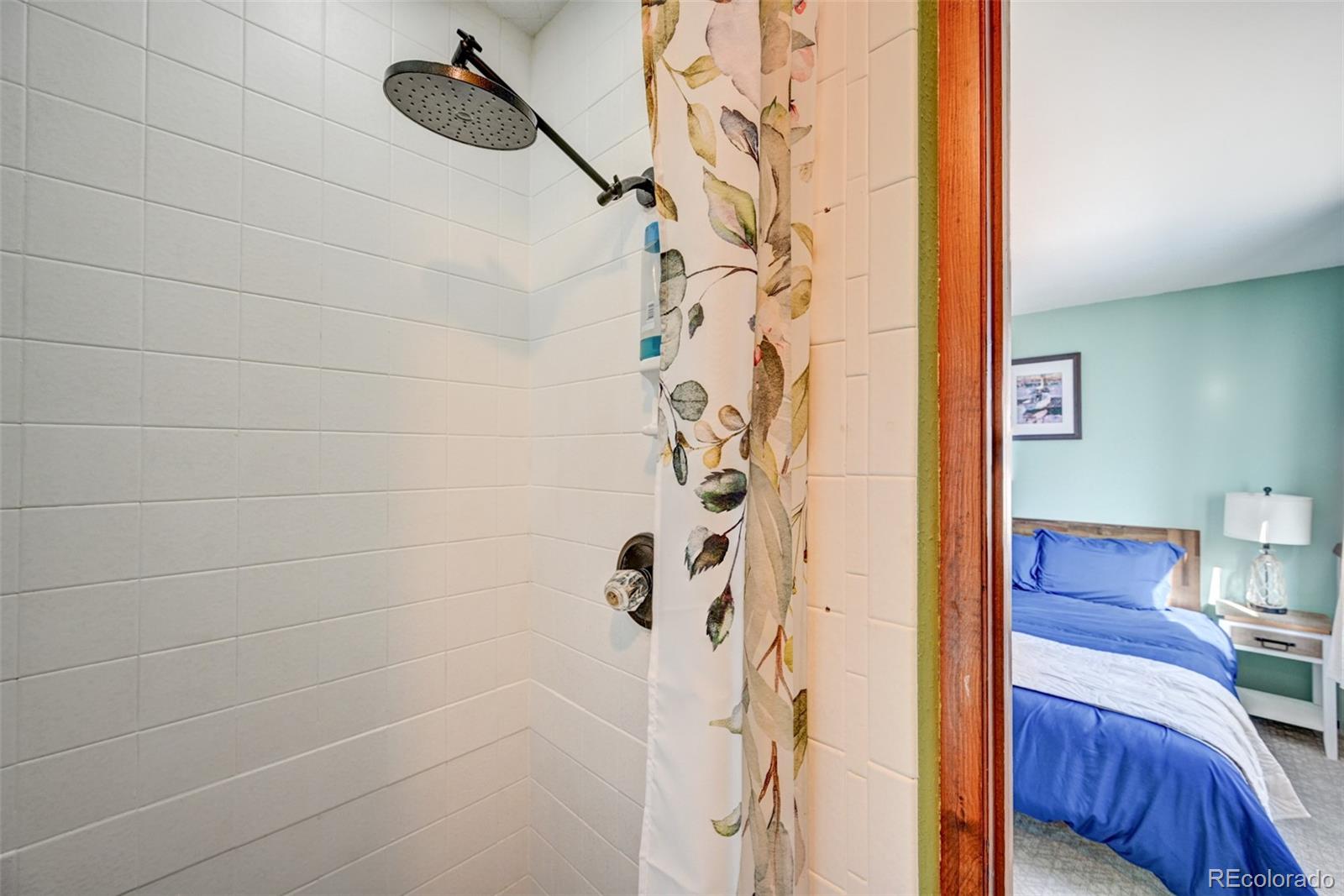 MLS Image #31 for 125  raymond lee drive,buena vista, Colorado