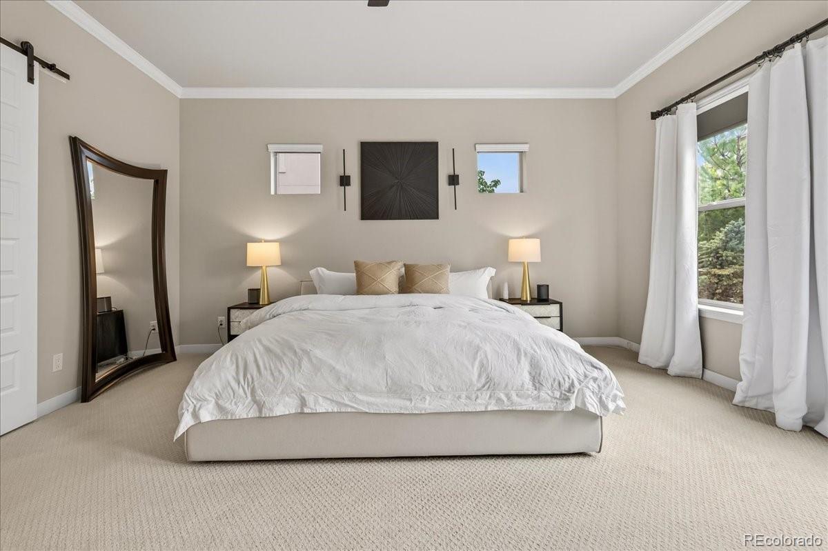 MLS Image #14 for 22280  boundstone drive,parker, Colorado